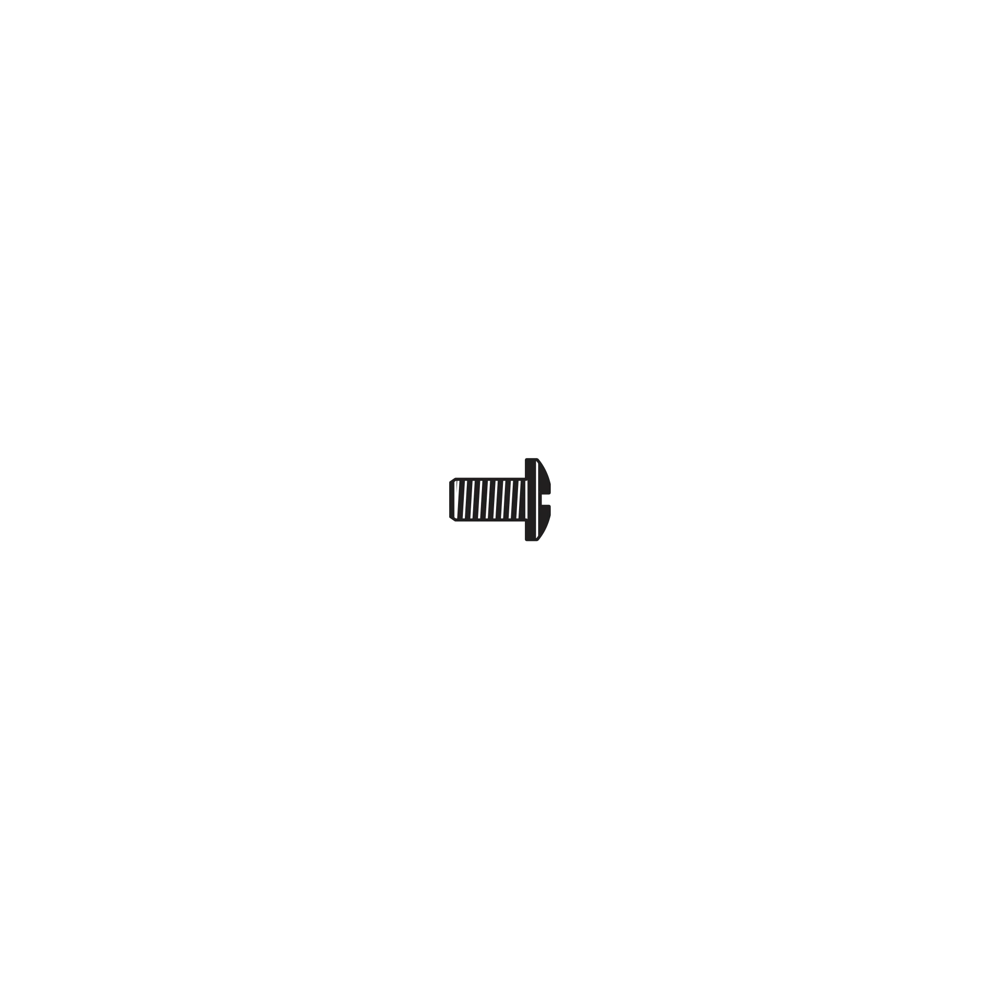 30/7 Screw for anvil 6 mm