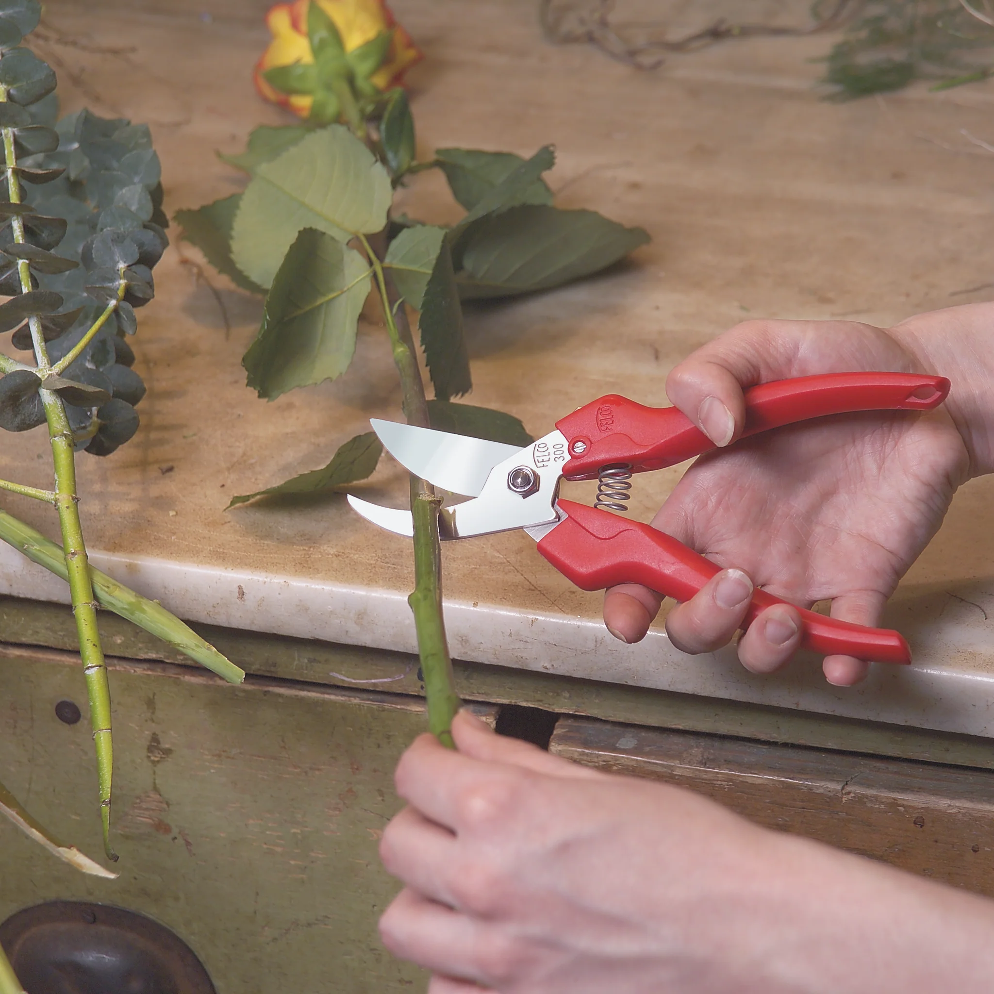 FELCO 300 - Image 3