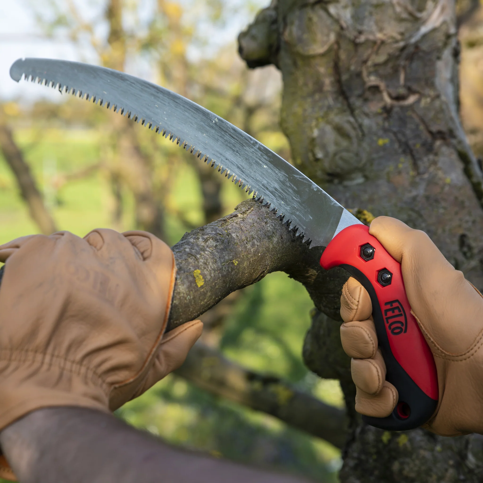 FELCO 703 - Image 3