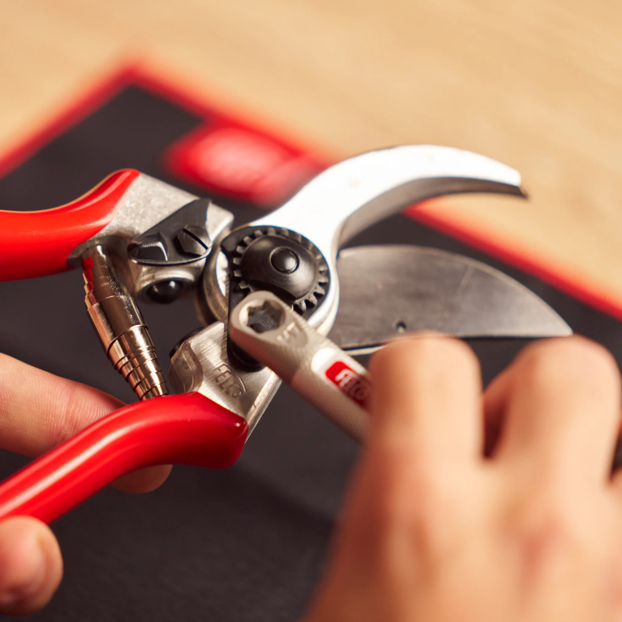 FELCO ATELIER - Image 4
