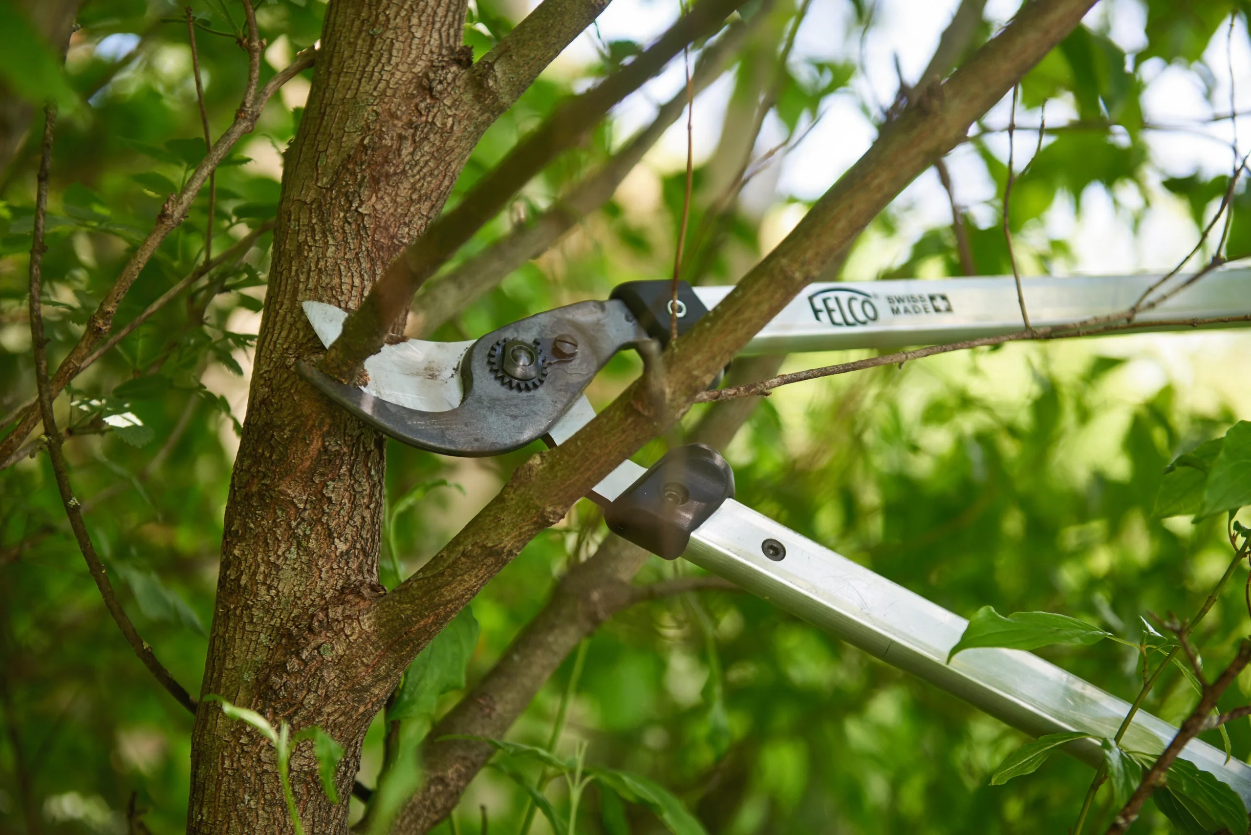 The Heavy Duty Gardener - Image 3