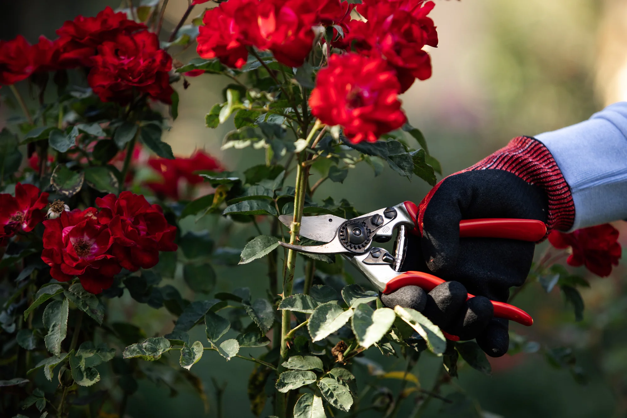 The Heavy Duty Gardener - Image 4
